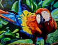 Bernadette — Limited Edition Original Parrot Art Print by Shelly Owen
