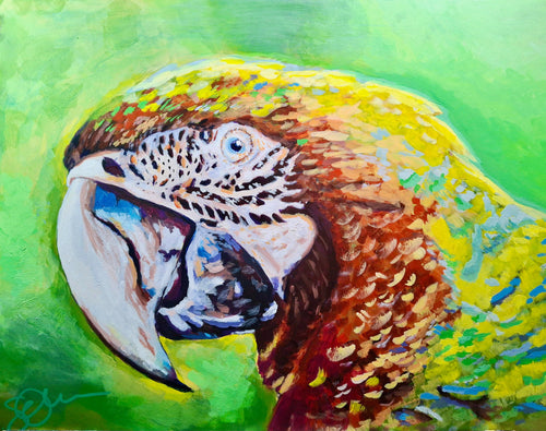 Pauley - Limited Edition Original Art Print by Shelly Owen
