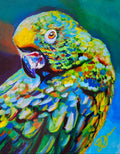 Perry - Limited Edition Original Art Print by Shelly Owen